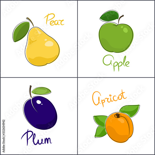 Set of fruits isolated on white background with the name of the fruit , pear and apple, plum and apricot, vector illustration