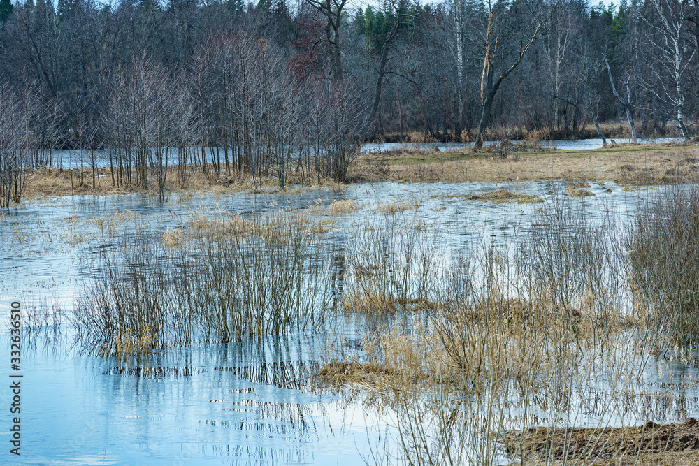 field flooded with water during the spring flood of rivers