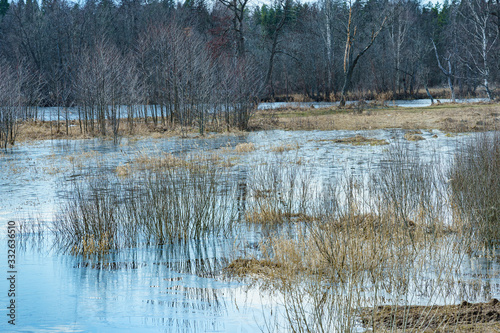 Obraz na płótnie field flooded with water during the spring flood of rivers w salonie