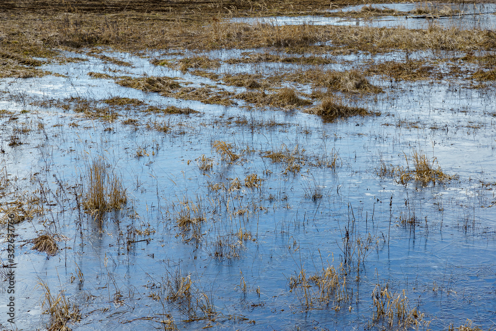 field flooded with water during the spring flood of rivers