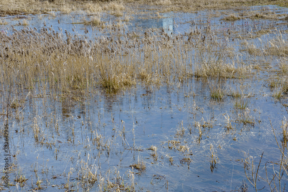 field flooded with water during the spring flood of rivers