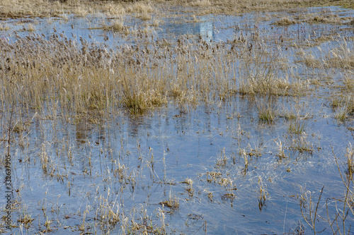Obraz na płótnie field flooded with water during the spring flood of rivers w salonie