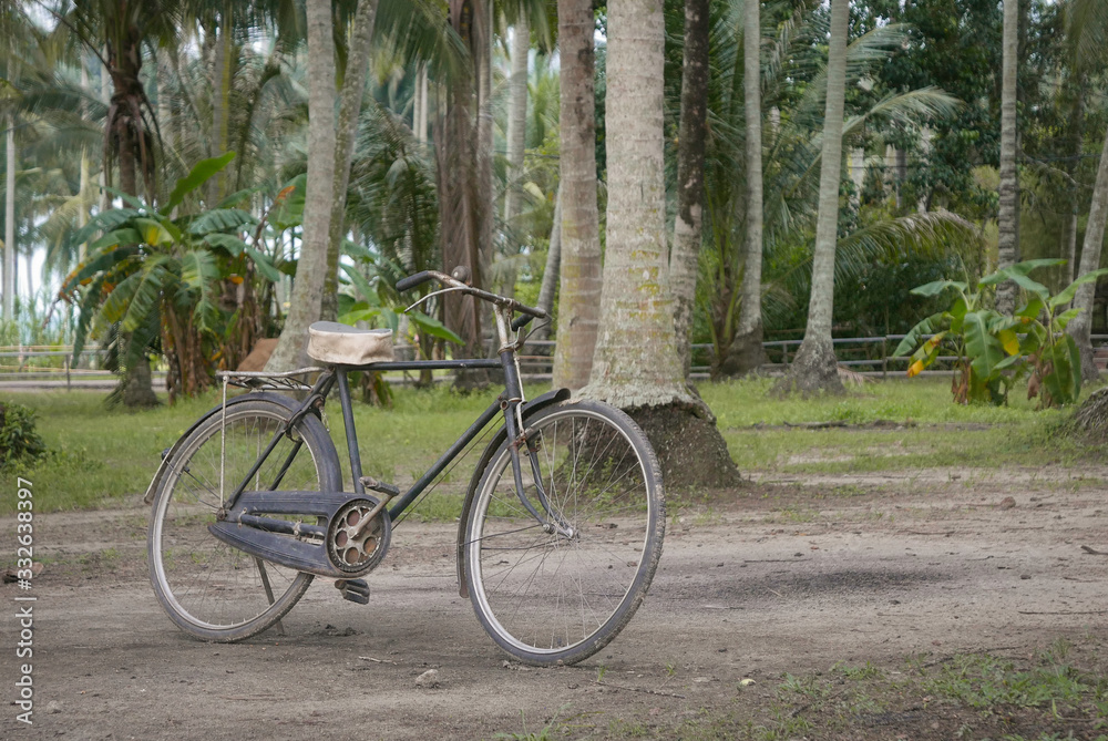Selective focus of an old and vintage bicycle in a coconut farm.
