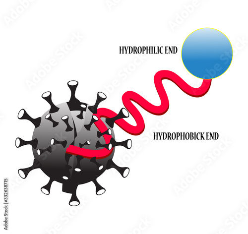 Soap molecule kills corona. Mechanism to remove dirt on the skin with a surfactant. Stearic acid (soap) molecule space-fill model.