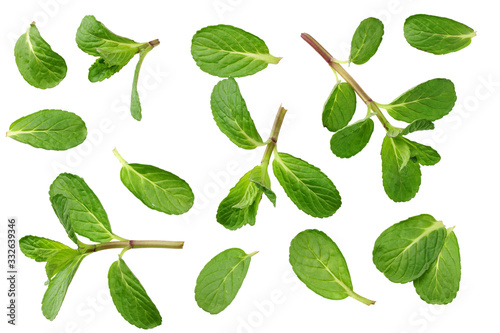 Fresh mint leaves isolated on white background. top view