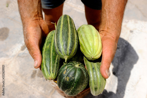 Santorini cucumbers and produce in basket.