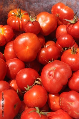 Santorini cherry tomatoes