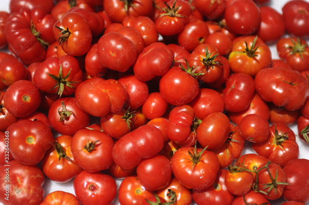 Santorini cherry tomatoes Santorini cherry tomatoes