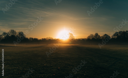 A sunny morning rising on the park © Clement