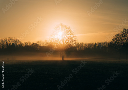 Bright morning sun and foggy morning