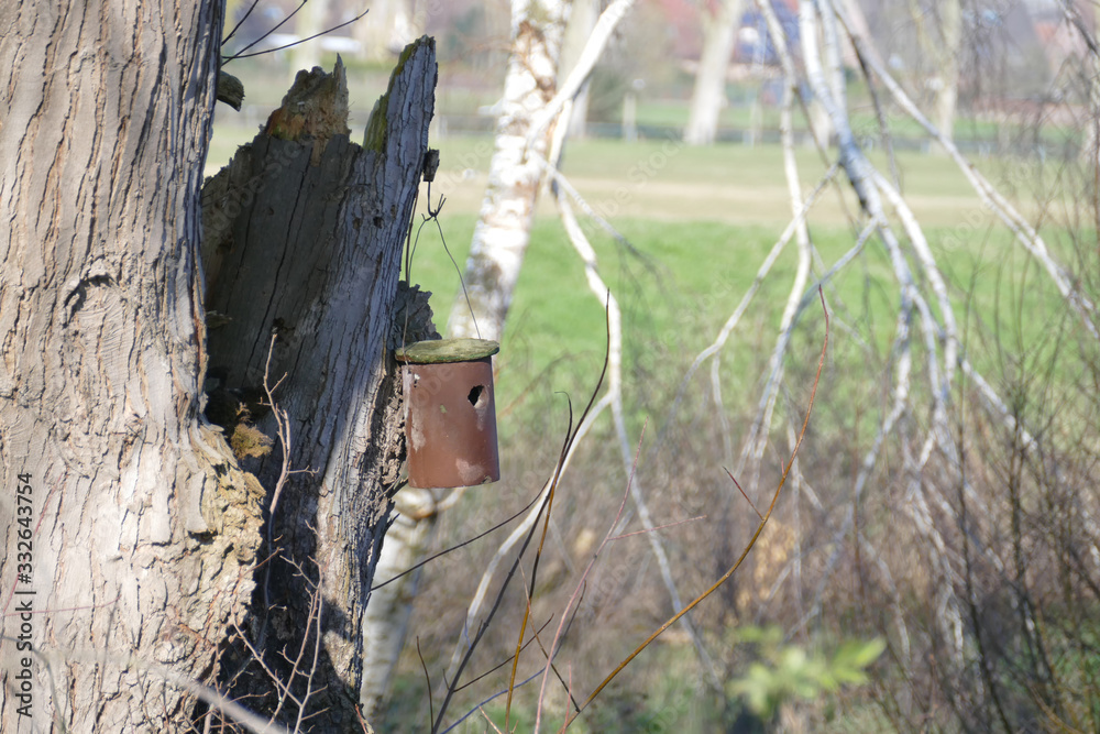 Vogelhäuschen an einem Baum im Reeser Meer Vogelhäuschen an einem Baum im Reeser Meer