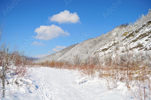 forest wild river landscape with snow at spring