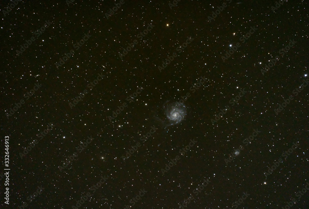 Fototapeta premium Pinwheel galaxy in the night sky