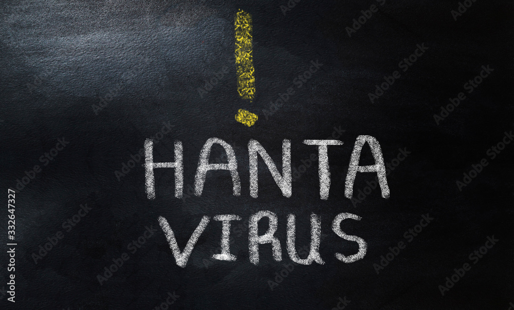 Fototapeta premium handwriting alert hantavirus on chalkboard 