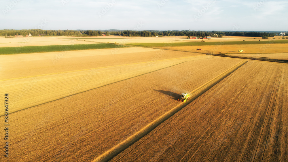 Combines and tractors working on the wheat field. View from above. Combine harvester. Agricultural landscape.