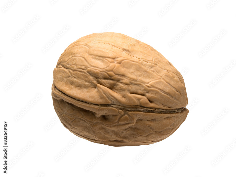 Closed ripe walnut isolated object Closed ripe walnut isolated object