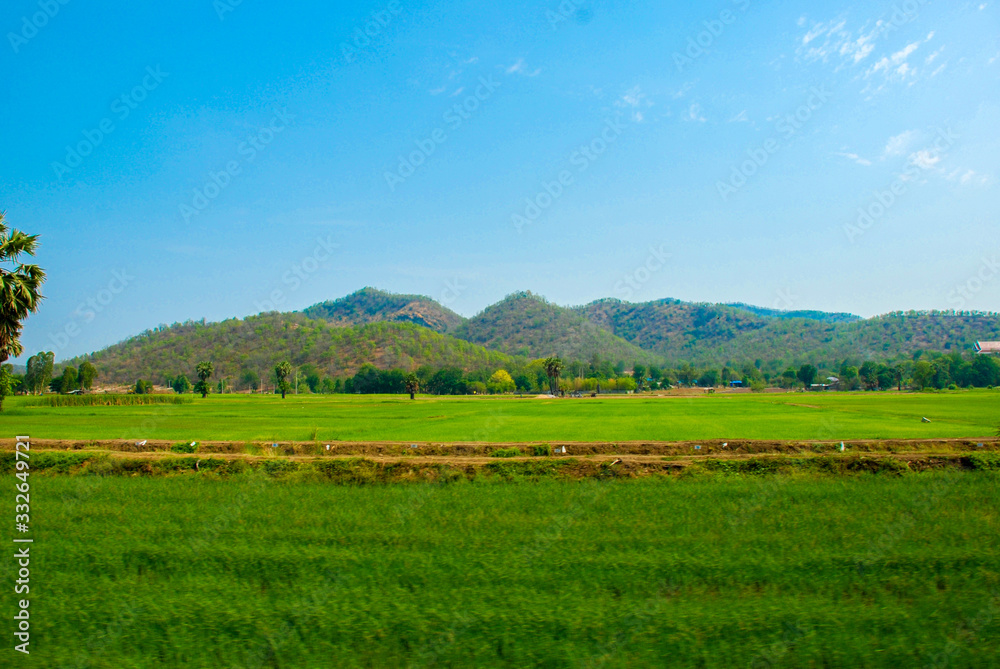 Green meadow , Background image of lush grass field under blue sky in thailand