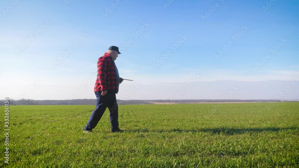 A mature farmer looks at a fresh green field after winter, he makes plans for harvesting and preparing for sowing. A mature farmer looks at a fresh green field after winter, he makes plans for harvesting and preparing for sowing.