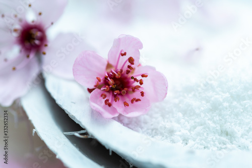 Pink spring flowers on a white coconut cup with birch sugar. Xylitol sweetener. 