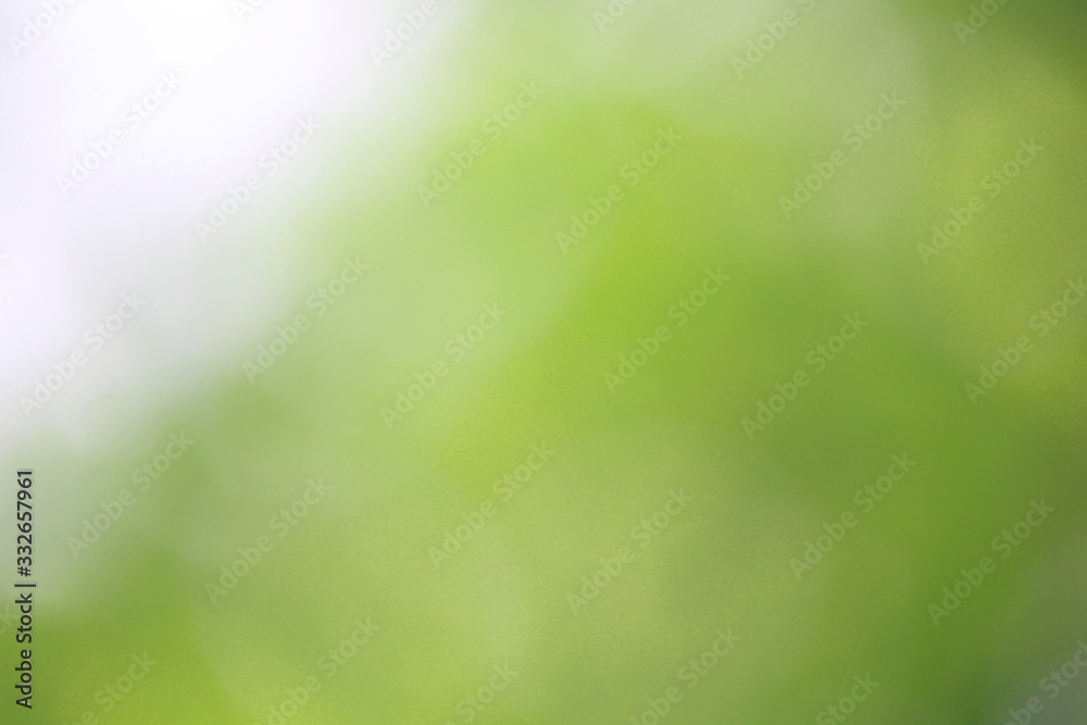 Fototapeta Bokeh green nature, Subtle background in abstract style for graphic design