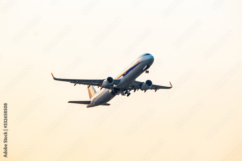 Obraz premium エアバスA321