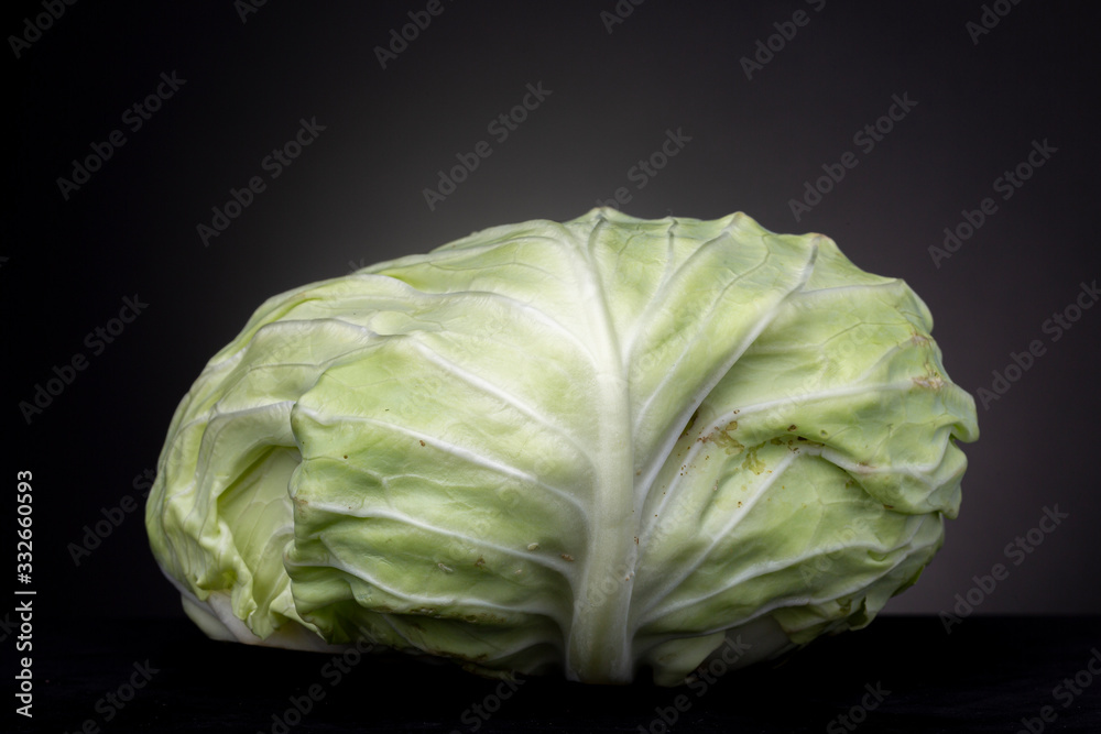 Obraz premium Texture and veins resembling a tree shape with branches of an Iceberg lettuce vegetable crop with smooth sturdy surface. Low key studio shot of food against a dark background