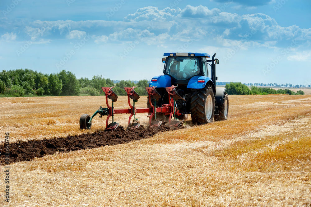 Obraz premium blue tractor pulls plow, arable land, field preparation