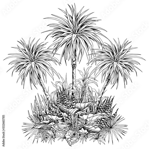Tropical composition with sketchy islands scenery.
