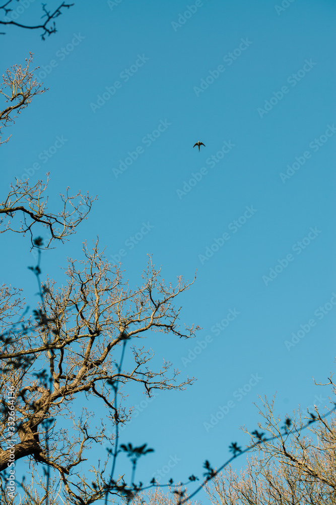 Peaceful nature background on a spring day Peaceful nature background on a spring day