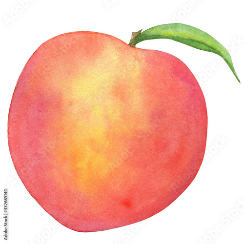 Watercolor hand drawn botanical illustration with summer fruit whole peach with leaf. Food illustration isolated on white background.