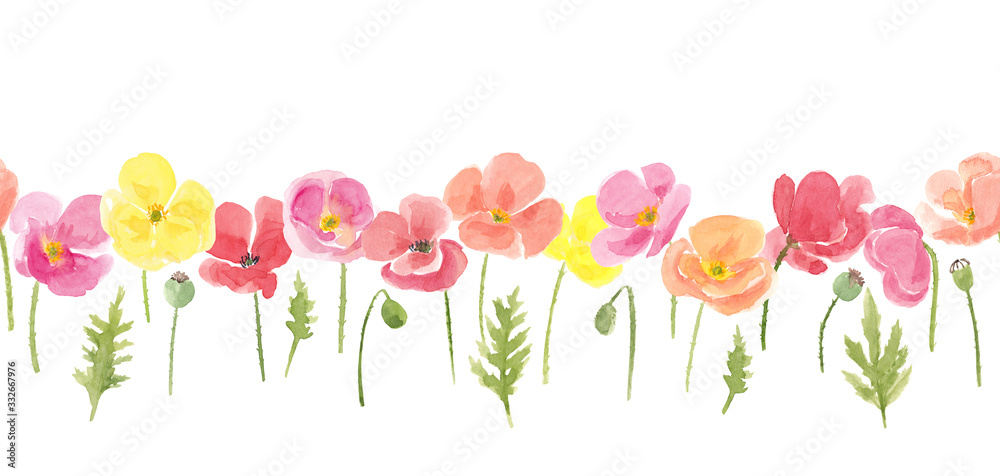 Watercolor hand drawn wild meadow colorful poppies flowers composition. Summer floral seamless border isolated on white background.