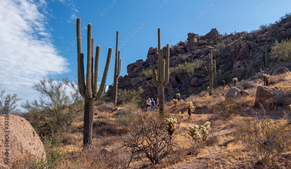 Hikers On Elevated Trail In Scottsdale AZ
