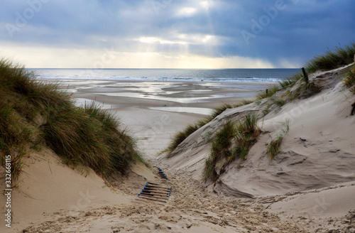 Fototapeta Naklejka Na Ścianę i Meble -  In the Dunes at the Beach of Amrum, Germany, Europe