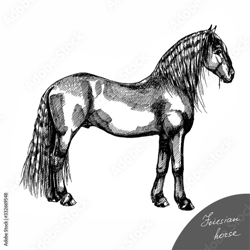 graphic farm riding and trotting Friesian horse