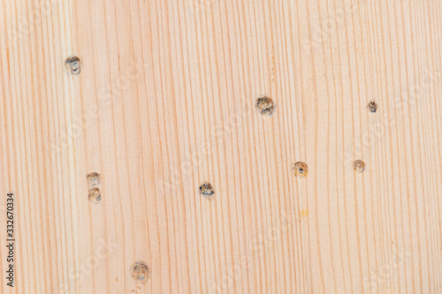 Wooden texture bright surface of pine wood used with drill holes