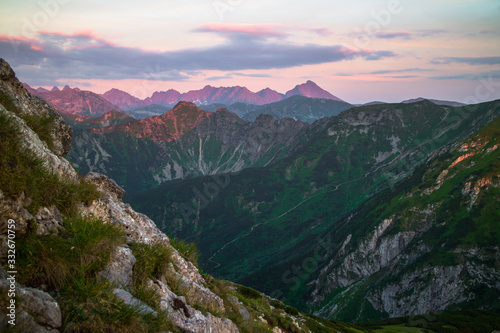 Rocky Carpathian mountains covered with green vegetation with a pink shadow on them due to sunset