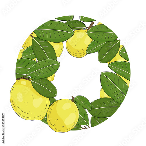 Lemon circle frame