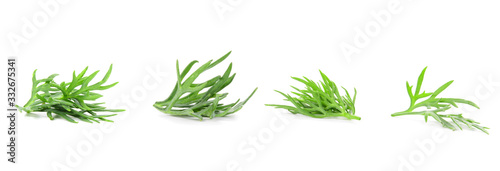 dill slices isolated on white