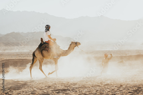 Canvas Print a ride on the camel