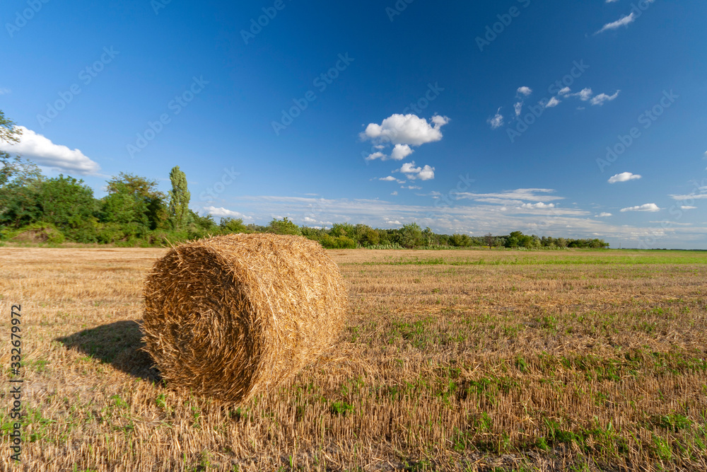 Agriculture field with hay bales and blue sky Agriculture field with hay bales and blue sky