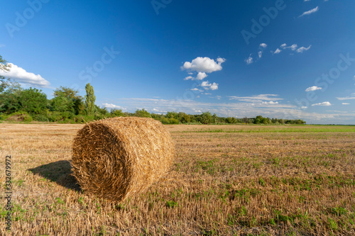 Agriculture field with hay bales and blue sky