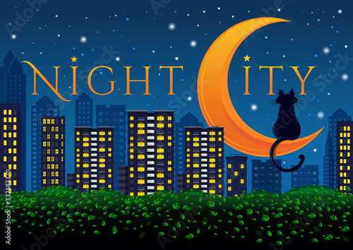 Night City. Neon lights of the big city. Black cat sitting on the crescent. Vector illustration