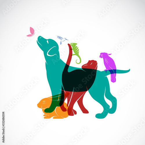 Vector group of pets - Dog, cat, parrot, chameleon, rabbit, butterfly, hummingbird isolated on white background, Vector pets for your design.