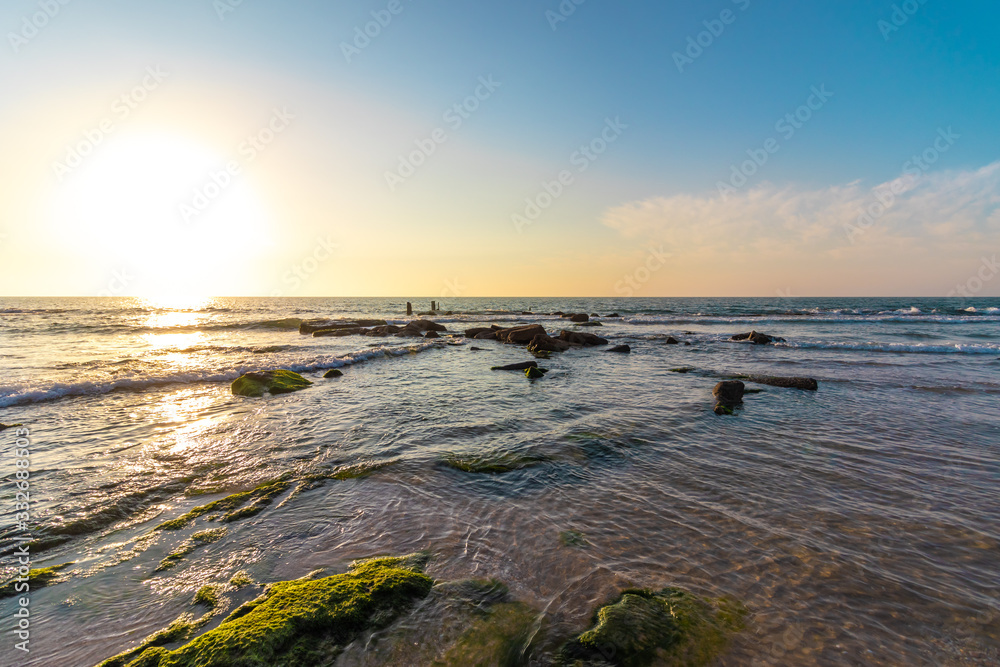 A rocks covered in water plants, against the background of the sunset, a light clouded sky, a palmahim beach.