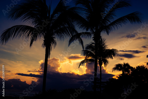 Dramatic sunset behind the silhouettes of palm trees. Puerto Plata, Dominican Republic