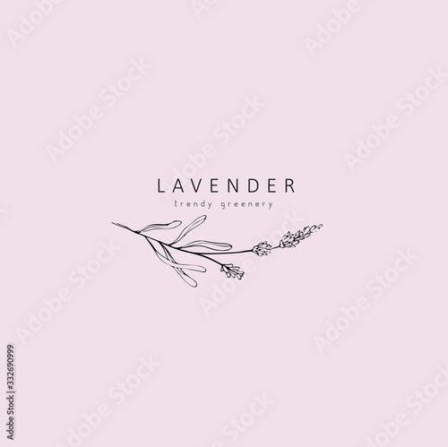 Lavender logo and branch. Hand drawn wedding herb, plant and monogram with elegant leaves for invitation save the date card design. Botanical rustic trendy greenery