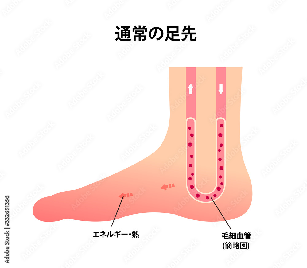 Obraz premium 通常の足 イラスト (冷え性の原因)