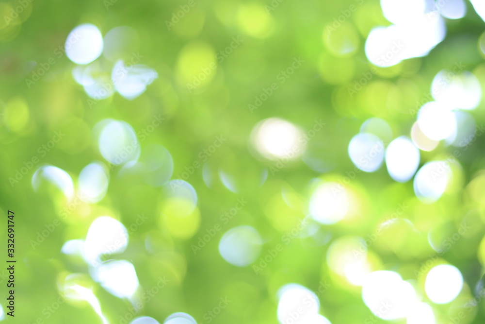 Green blurred bokeh background. Abstract green bokeh background. Green blurred bokeh background. Abstract green bokeh background.