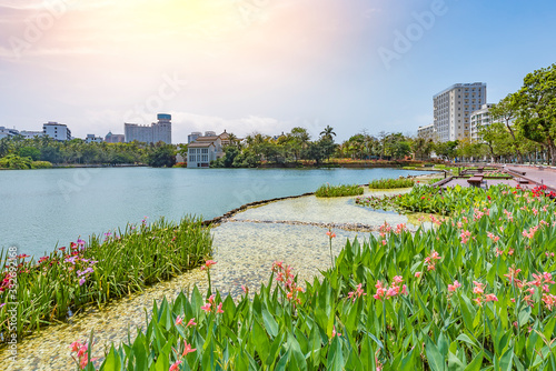 Beautiful Scenery of The People's Public Park at Summer Time, Downtown Haikou City, Hainan Province, China. photo