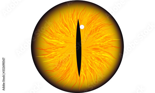 red iris eye ball pupil icon, dragon cat wolf eye